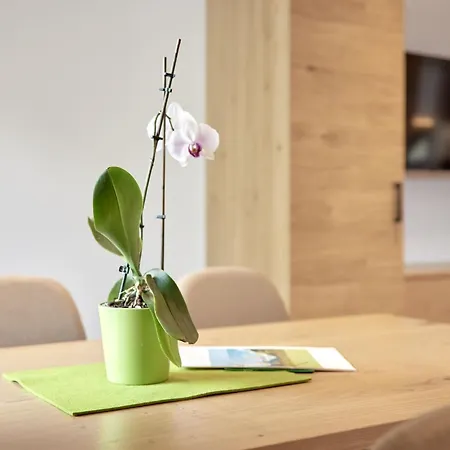 דירה S'groasse Am Hannesnhof By Interhome *